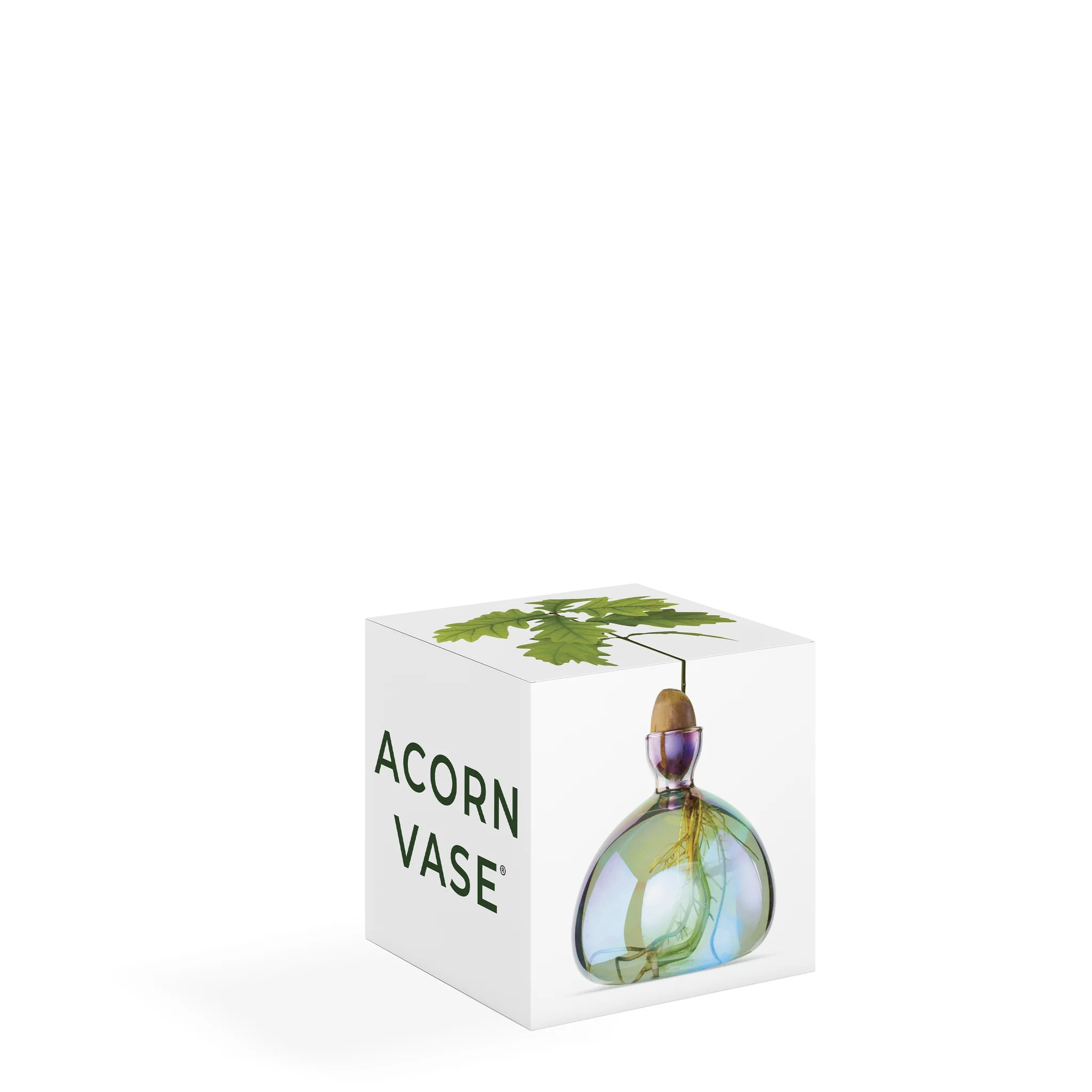 Acorn Vase - Cosmic Astra