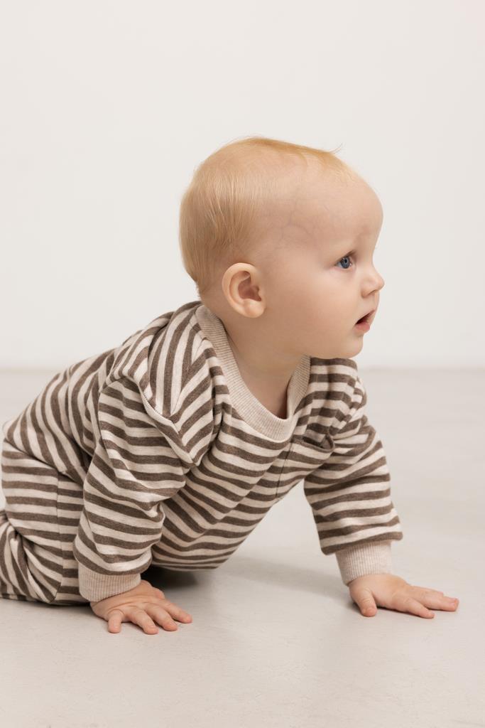 Ralle - Brown Stripe