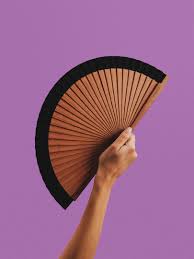 Fan - Wood Black