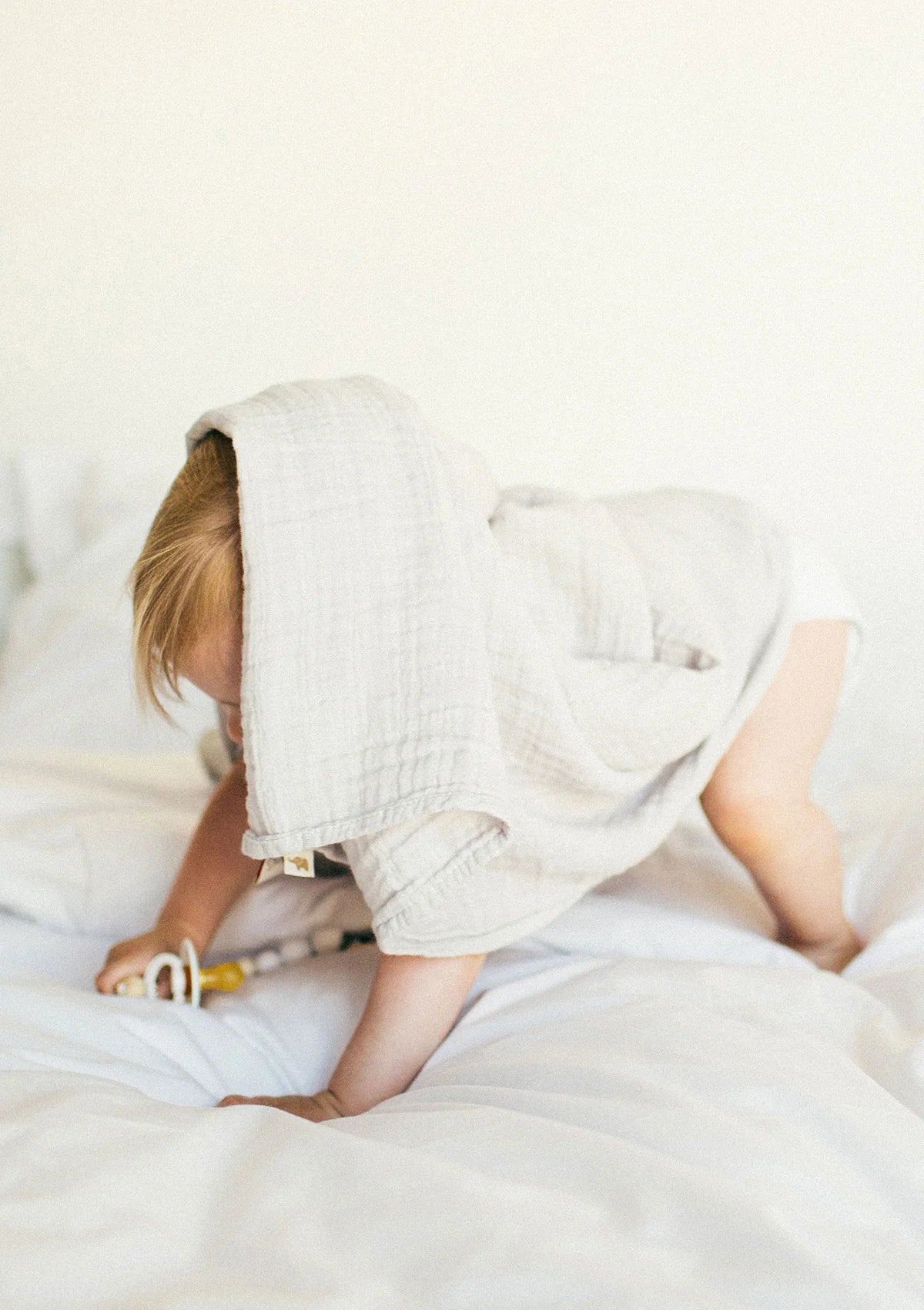 NOOSHI CUDDLE - Moonshine