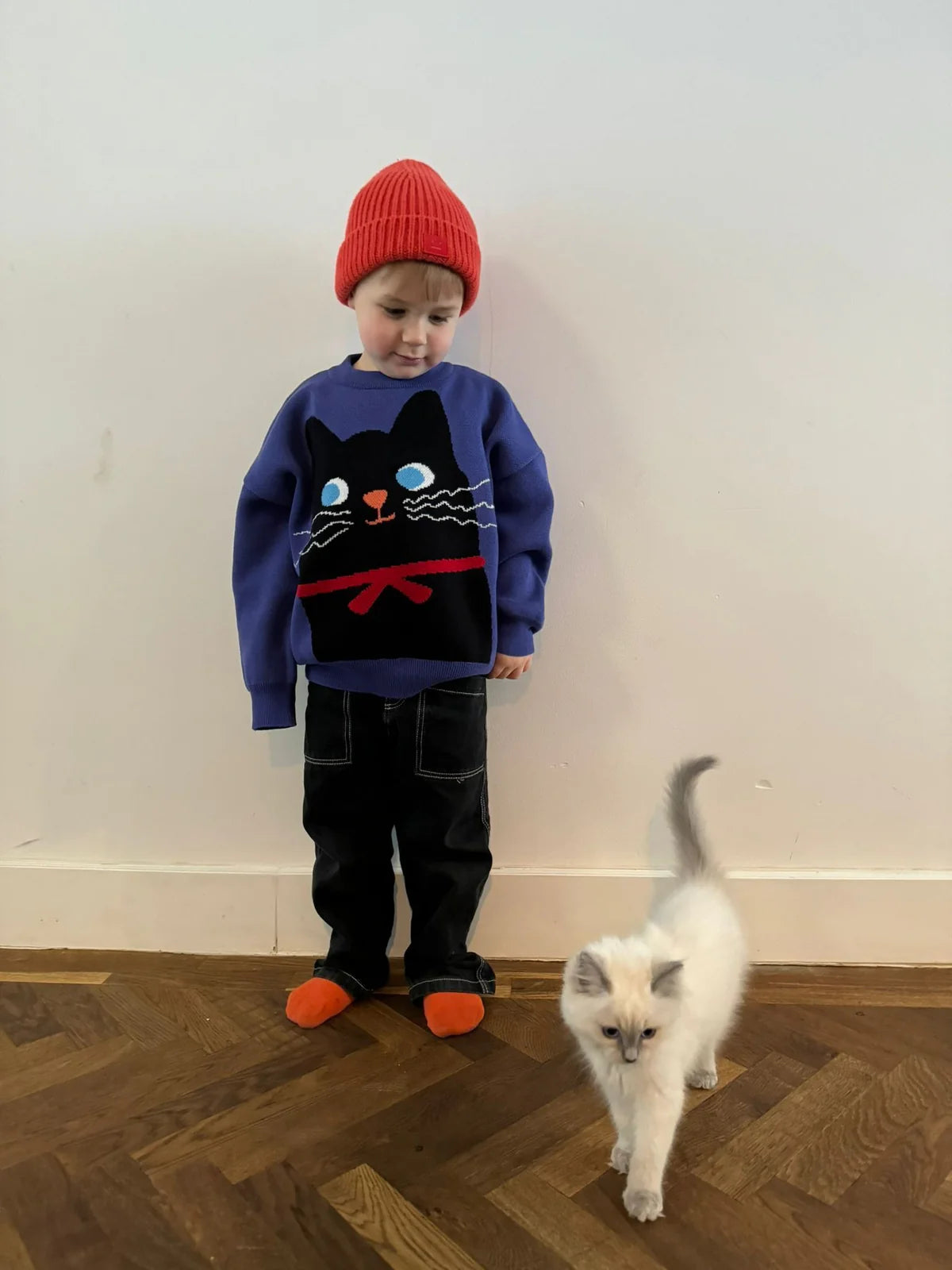 Furrdinand Knit Sweater
