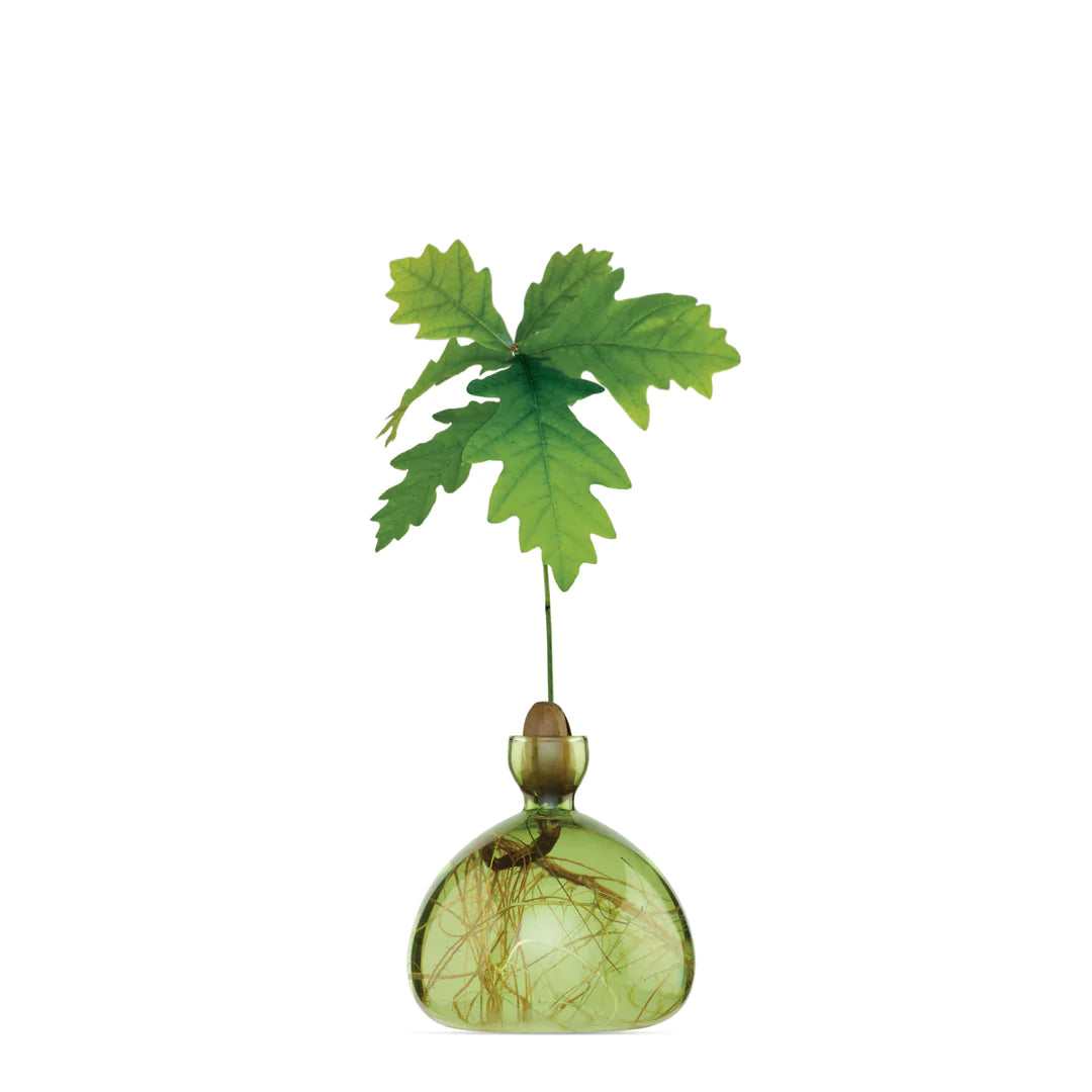 Acorn Vase - Green
