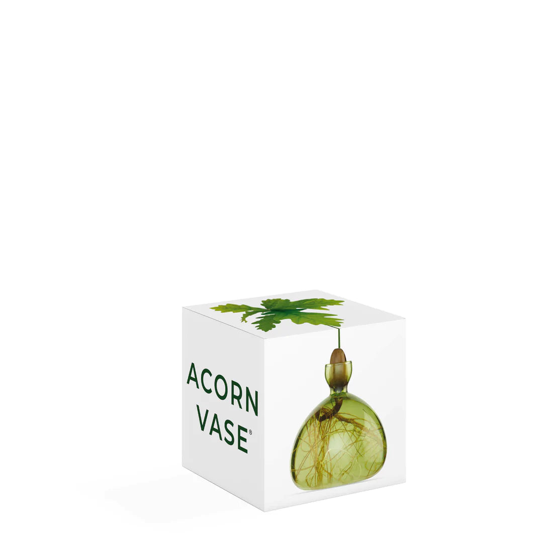 Acorn Vase - Green