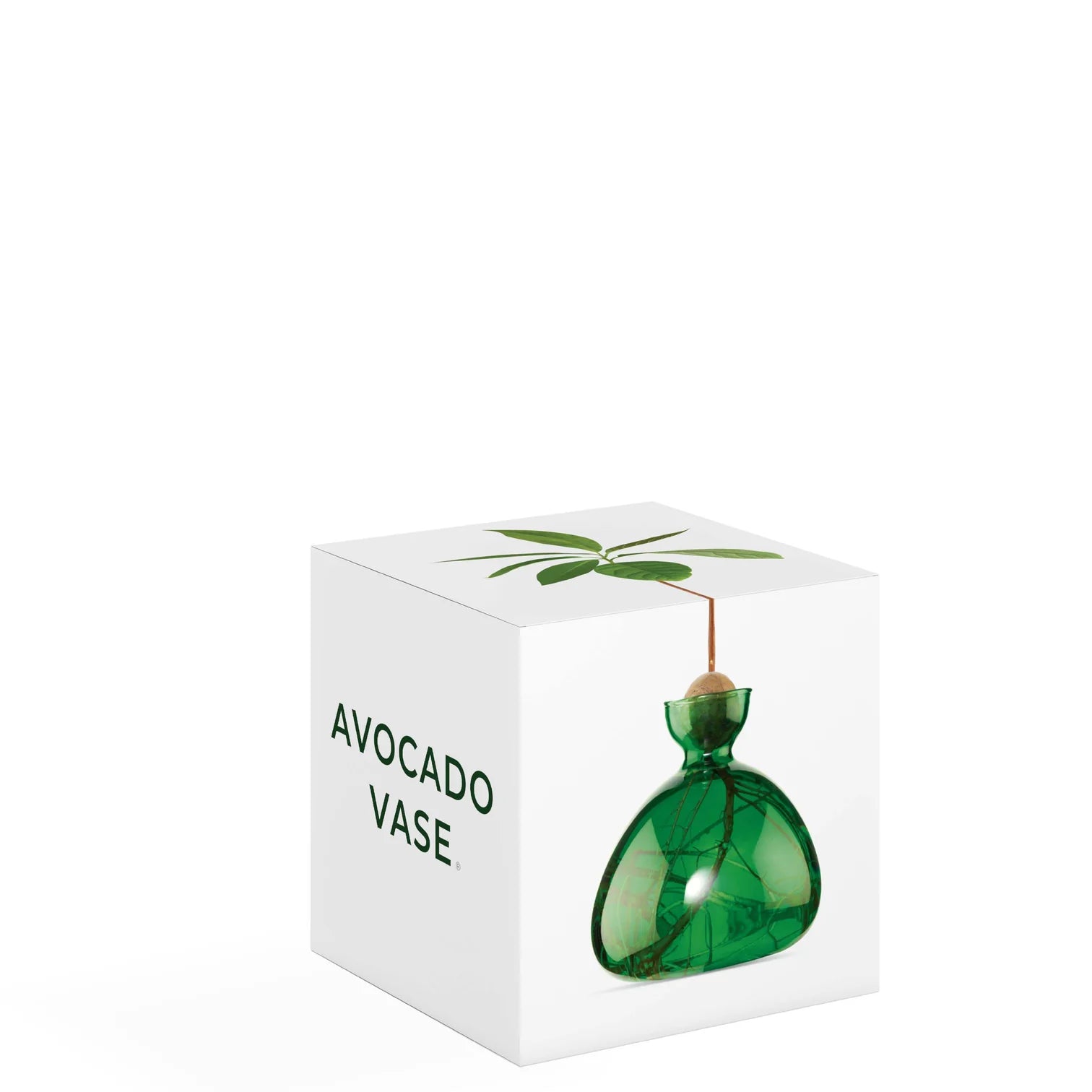 Avocado Vase - Emerald Green