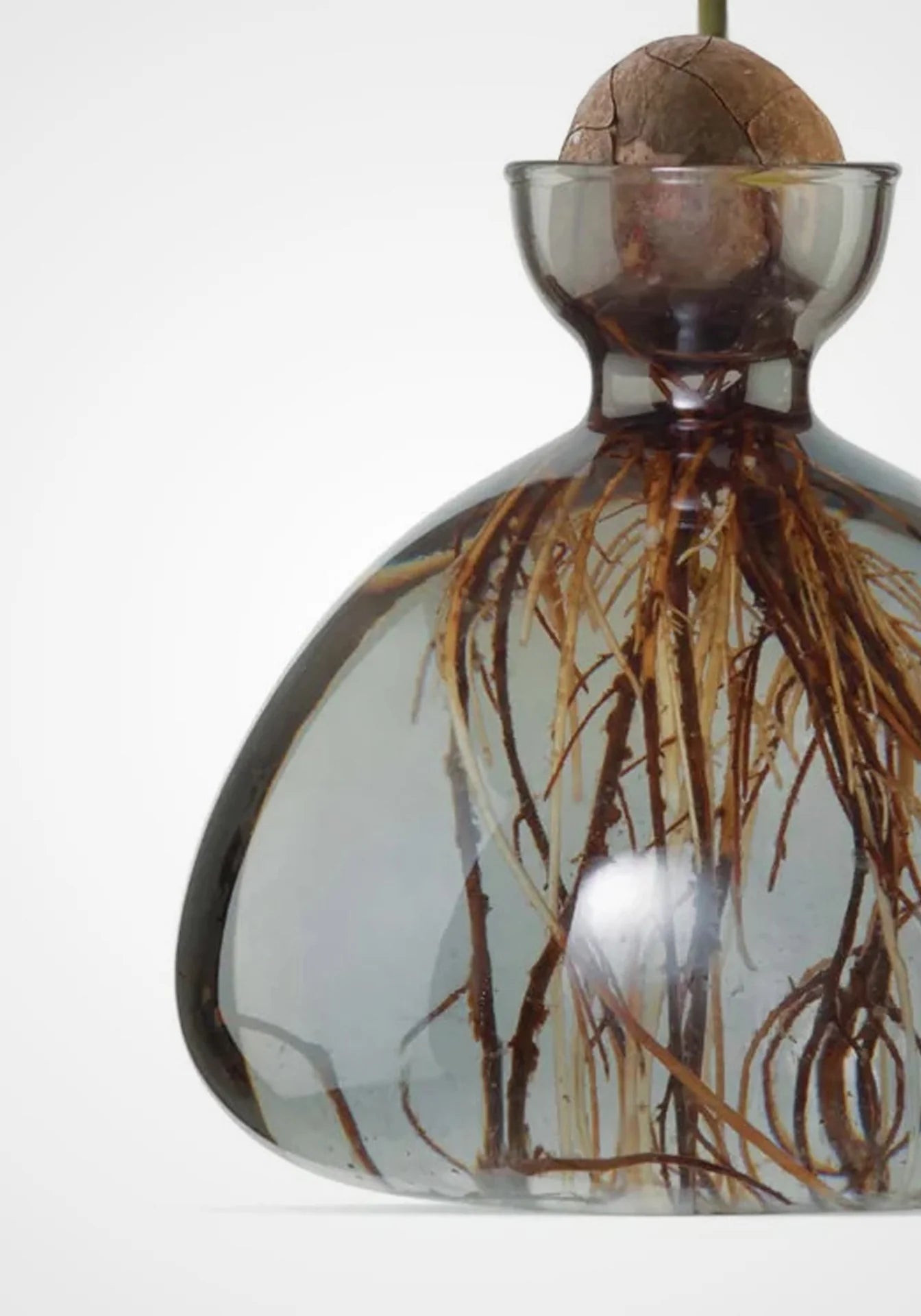 Avocado Vase - Smokey Grey