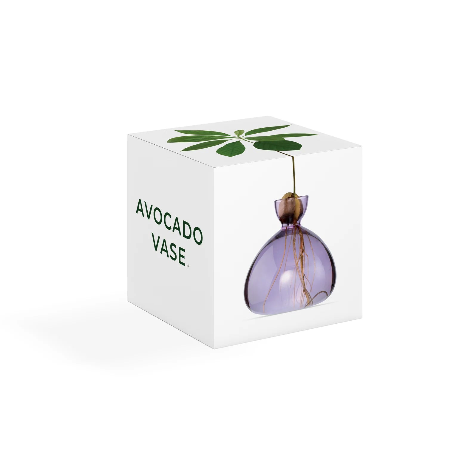 Avocado Vase - Spring Lilac