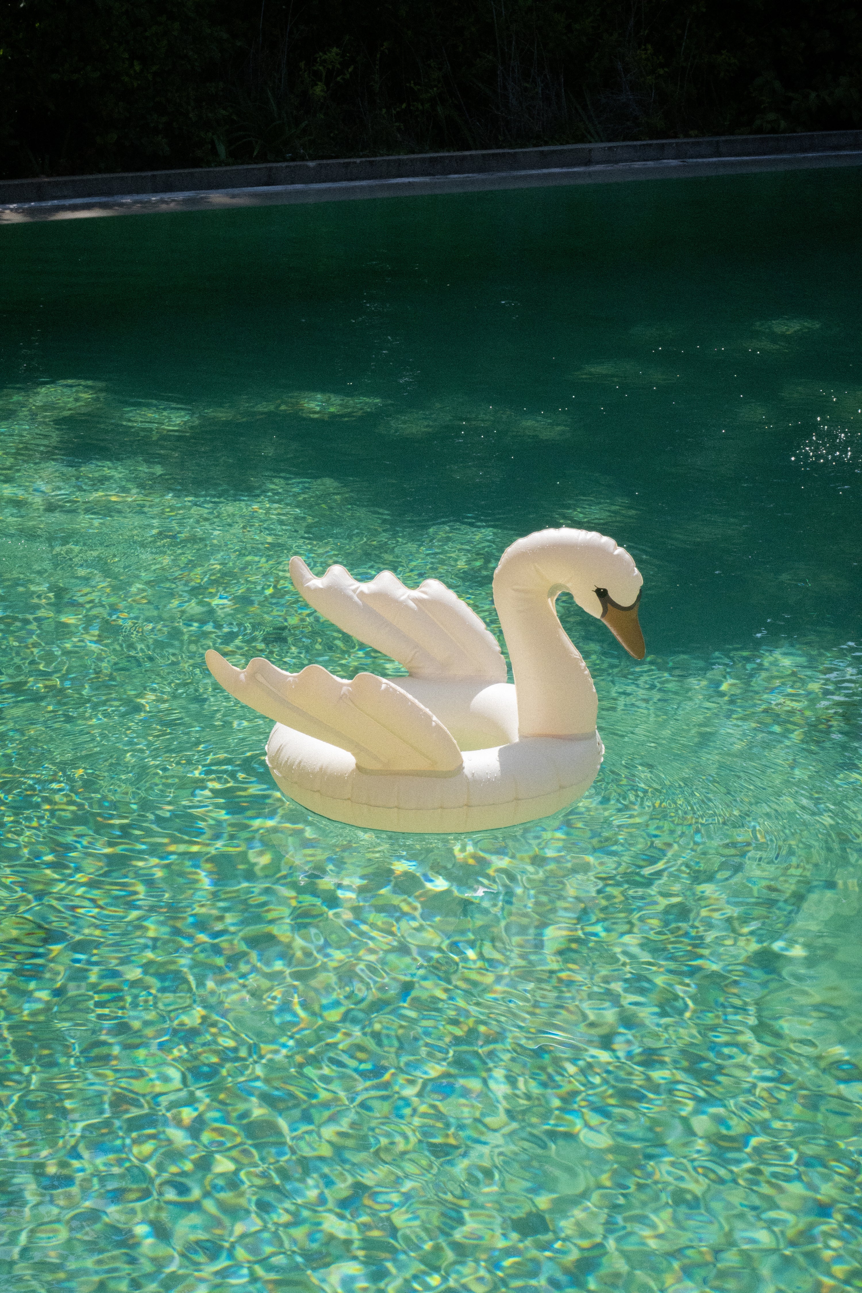 Schwan Schwimmreifen