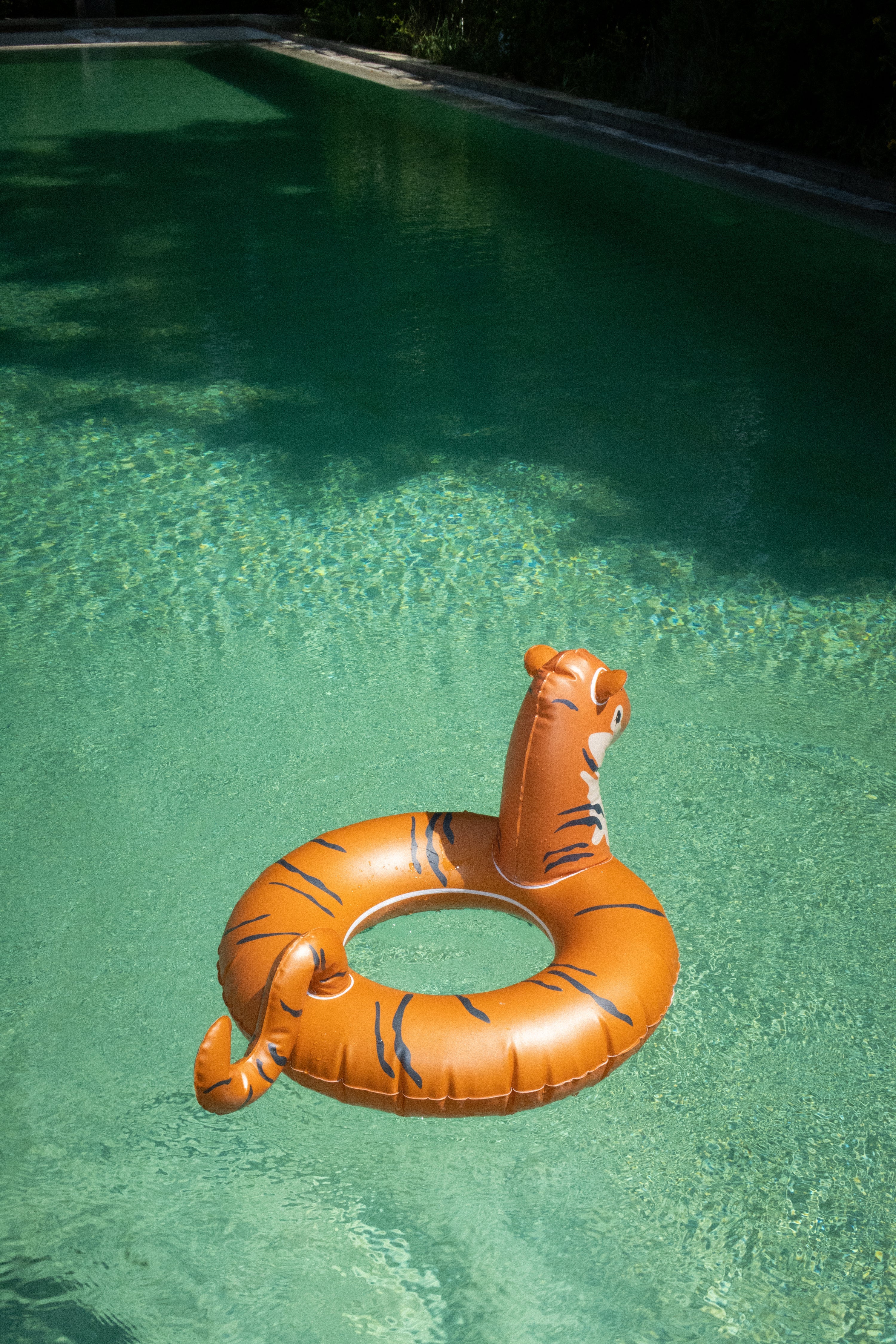 Tiger Schwimmreifen