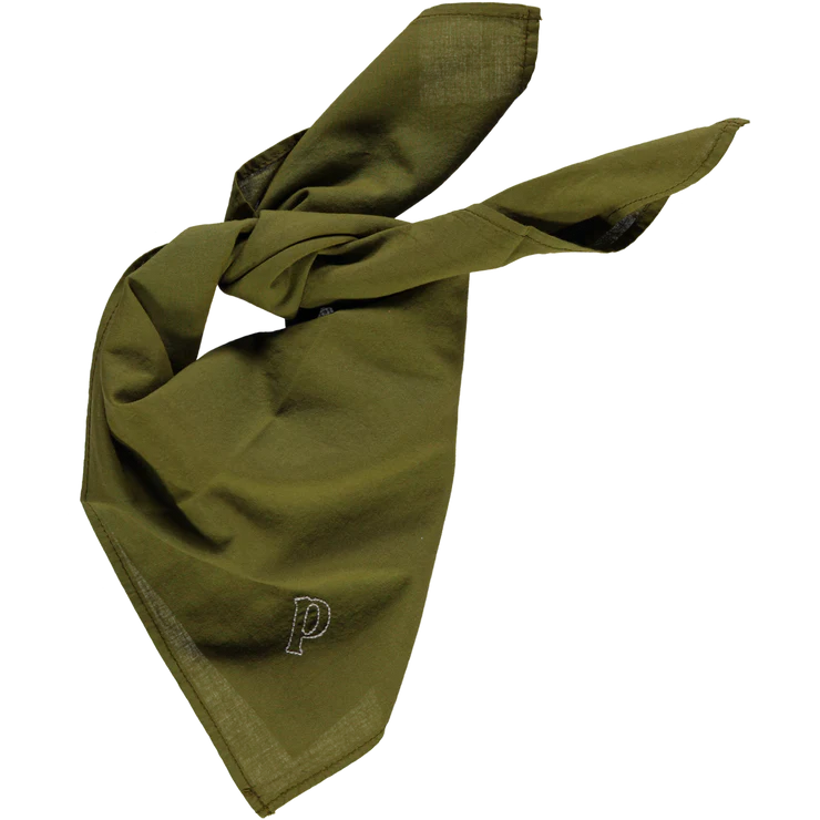 Foulard Tournesol - Fir Green