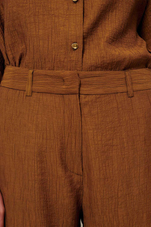 Tancreto Hose - Bronze