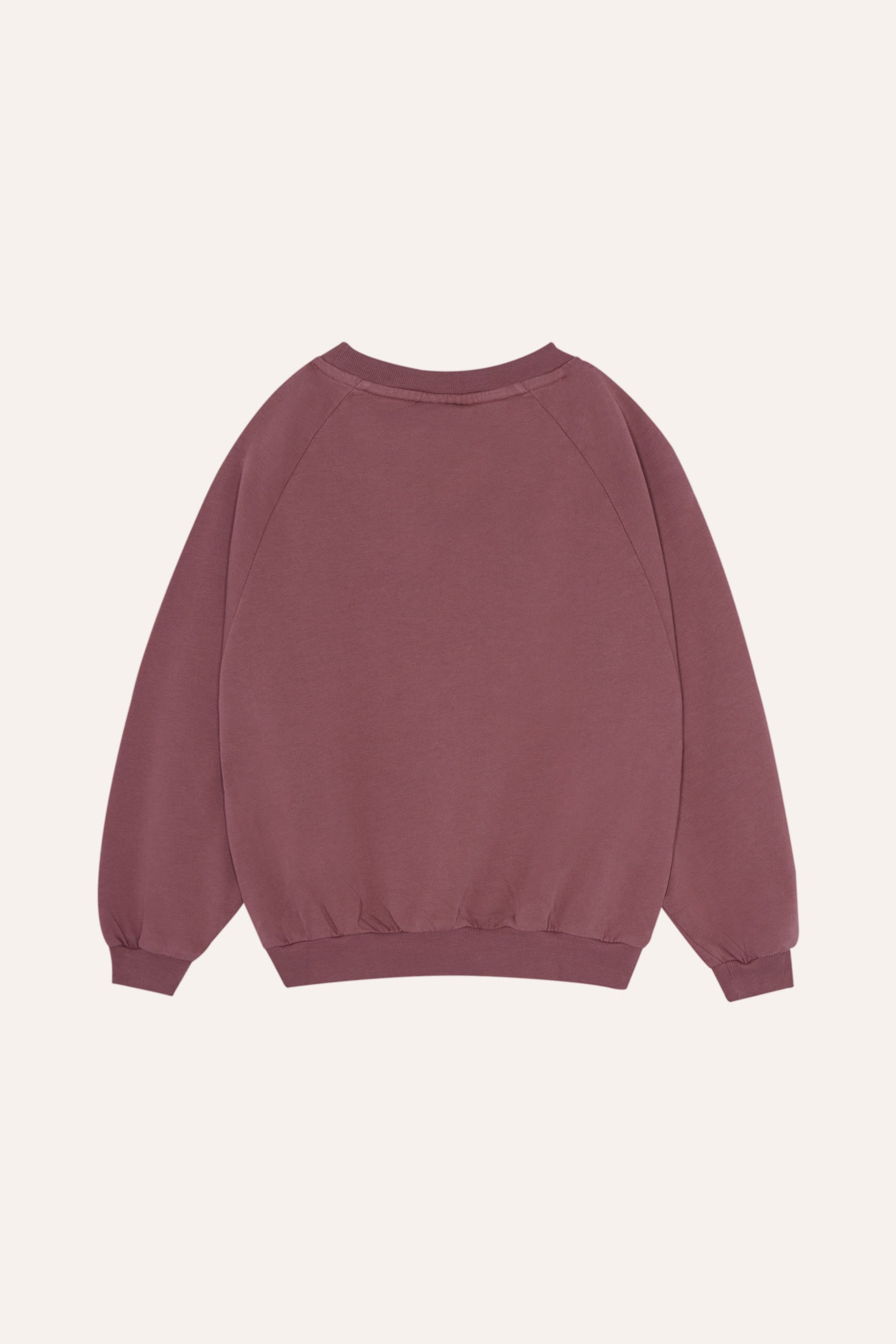 Washed Sweatshirt - Purple