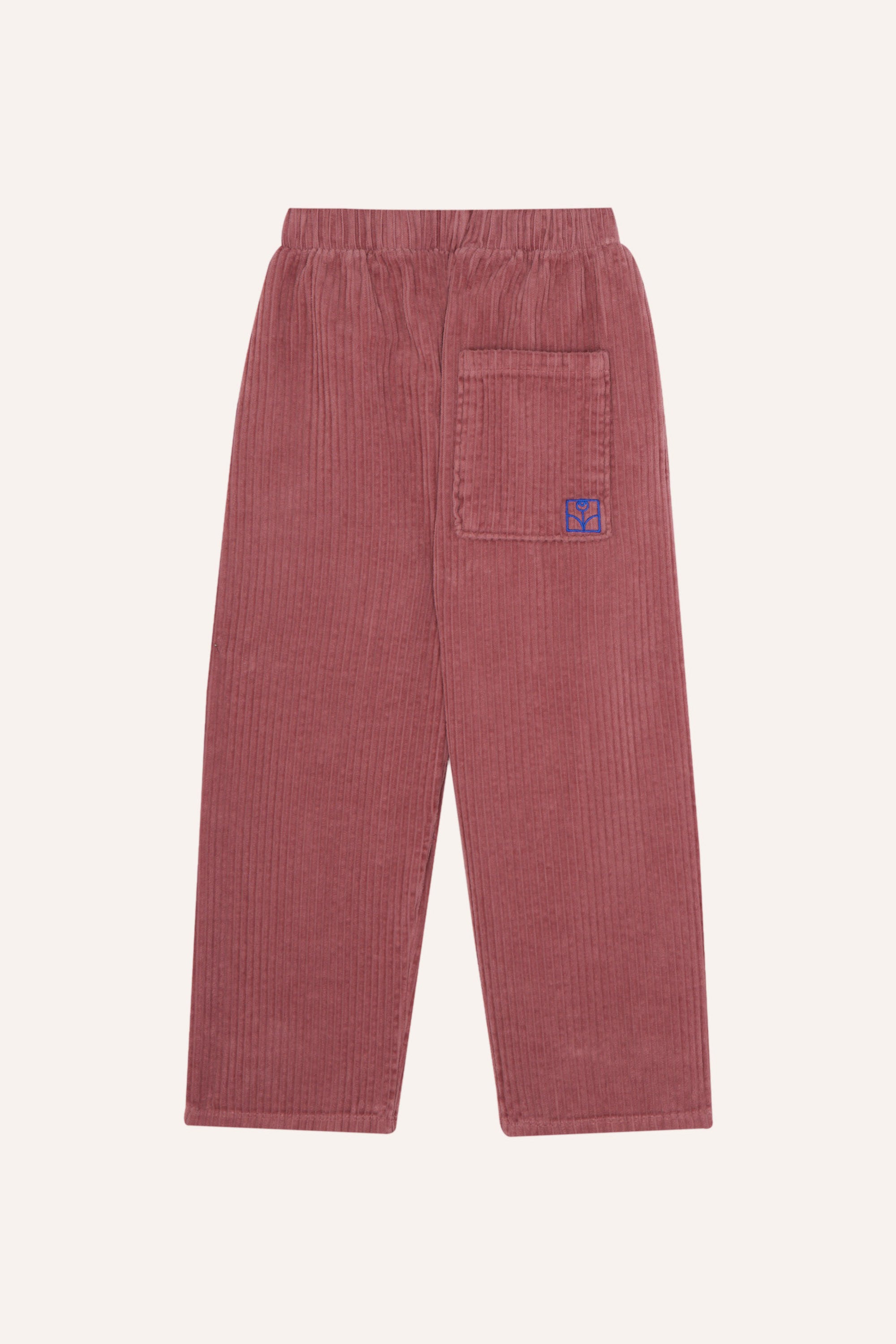 Corduroy Hose - Purple