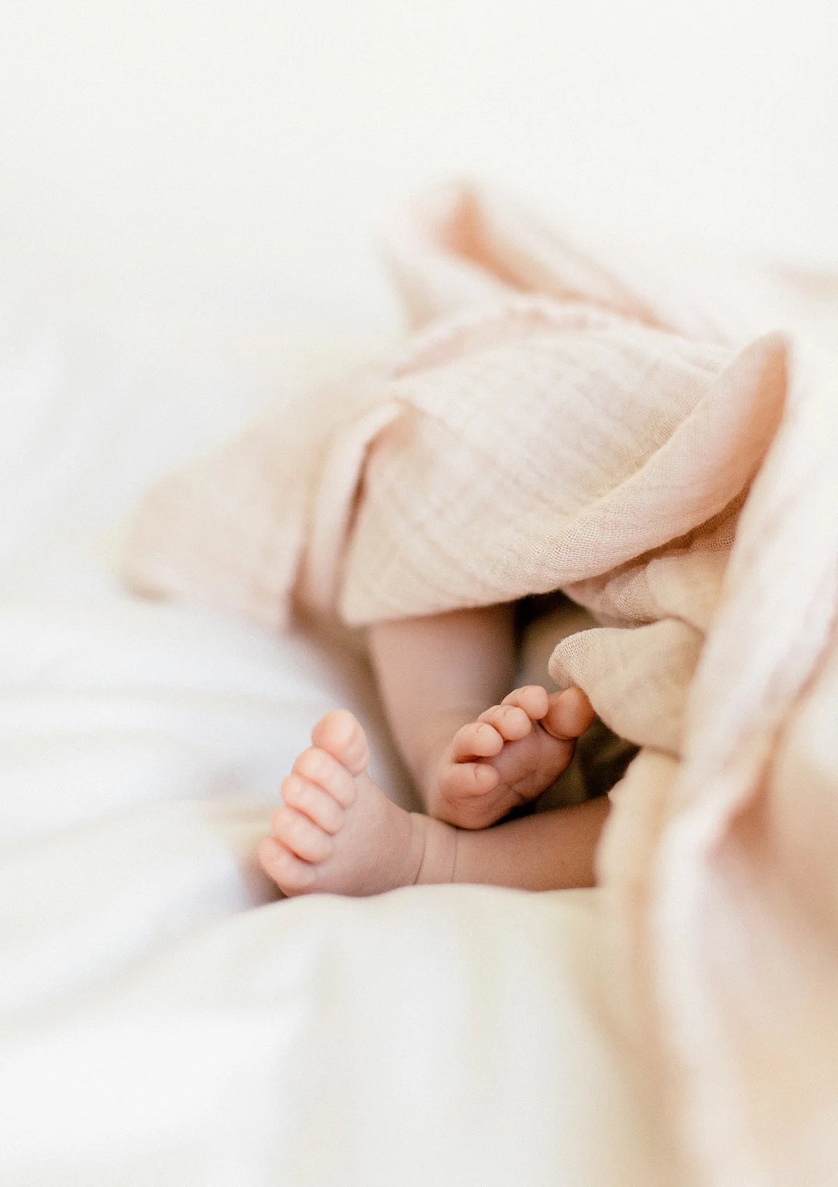 NOOSHI BLANKET - Blush