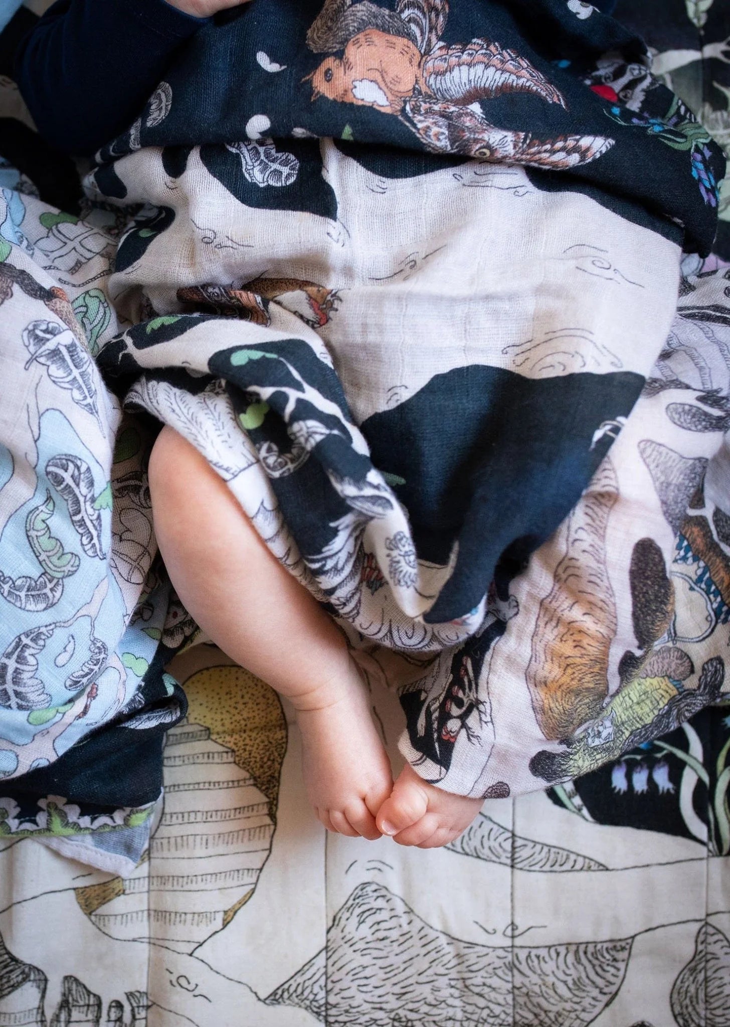 Baby Muslin Swaddle 70x100 - Enchanted Forest