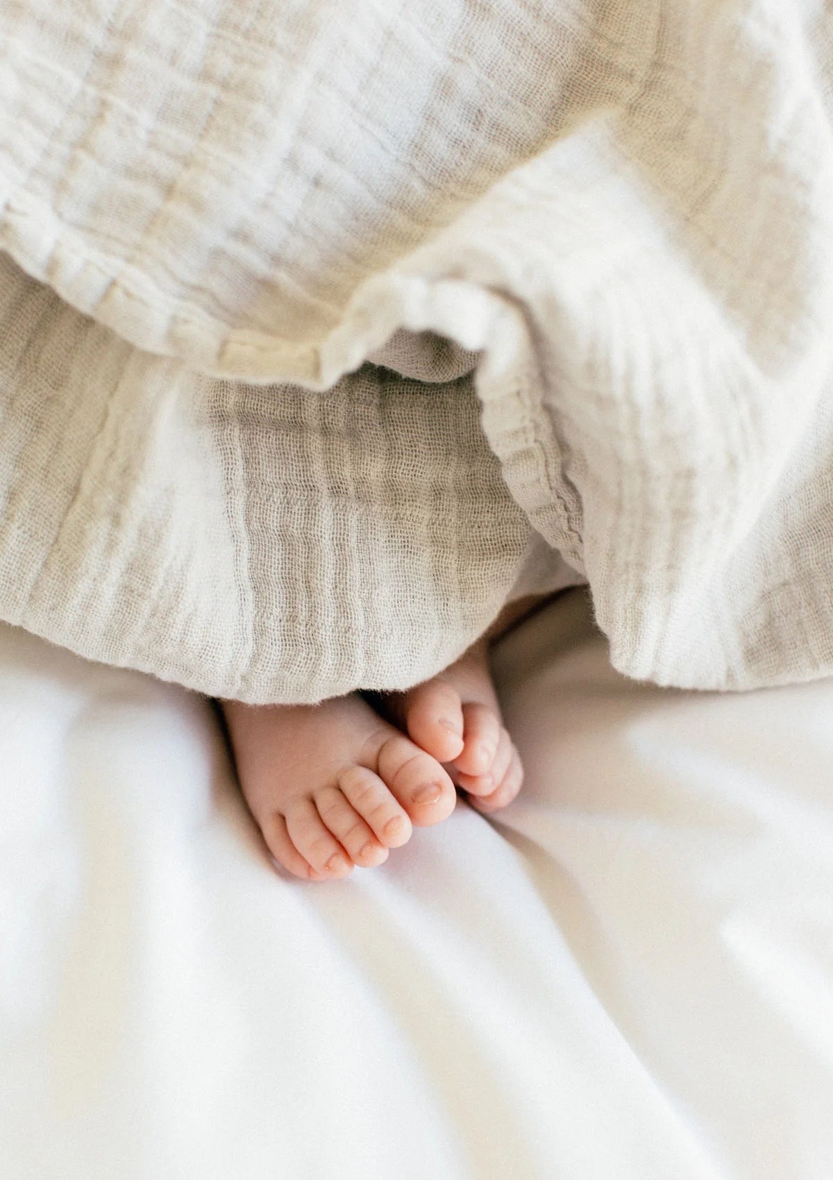 NOOSHI BLANKET - Moonshine